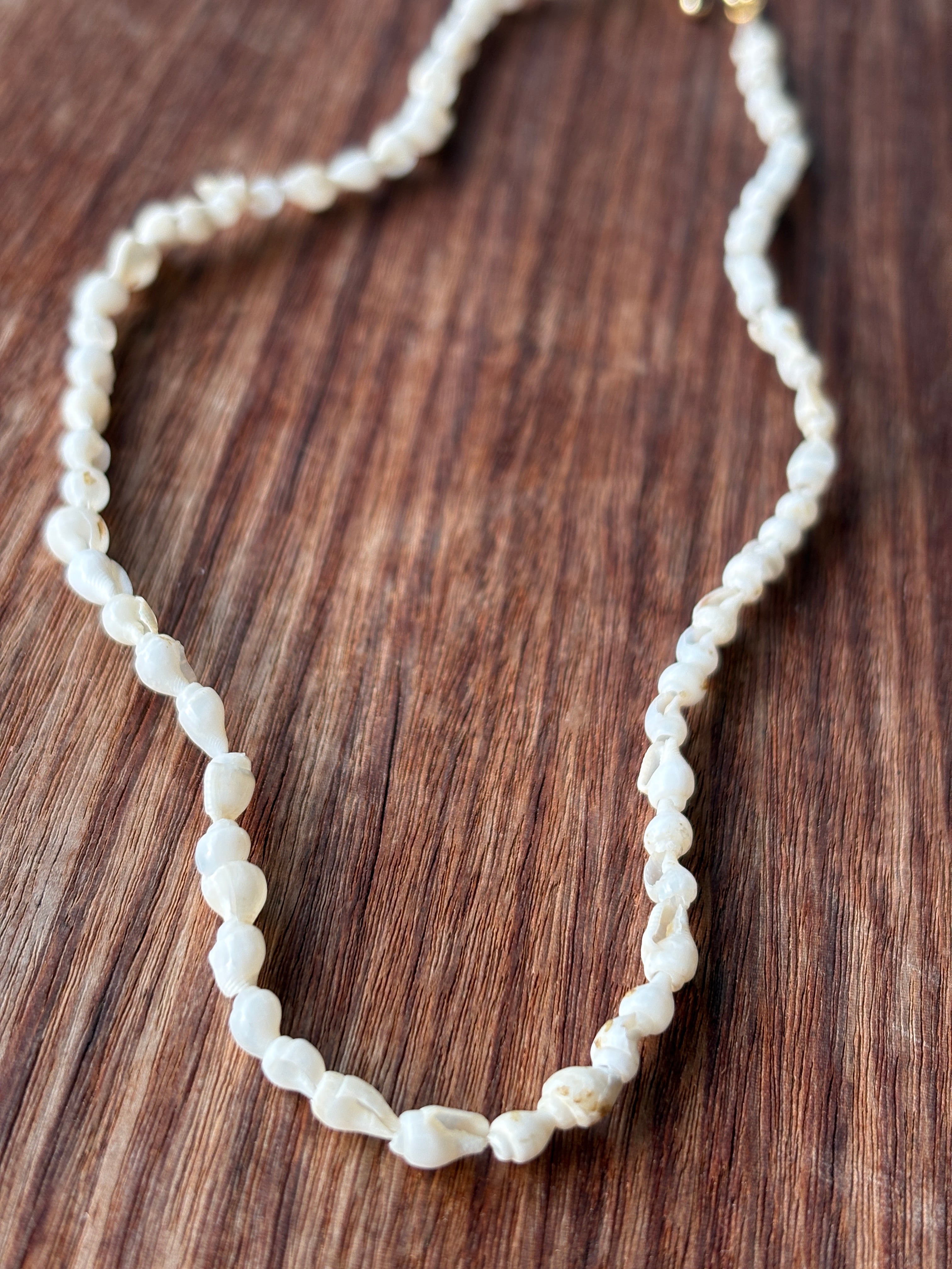 Mini Shell Necklace