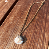 Shell Necklace