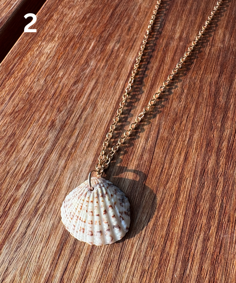 Shell Necklace