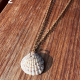 Shell Necklace