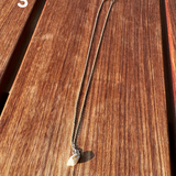 Shell Necklace