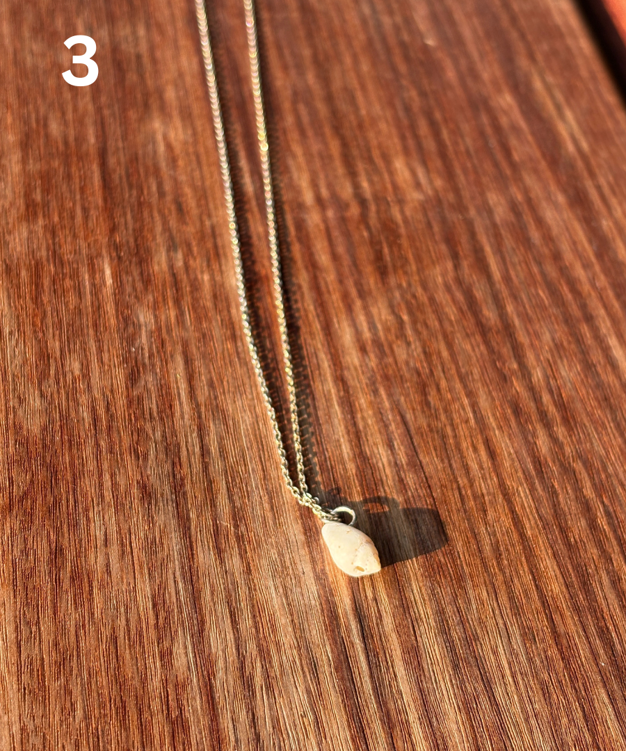 Shell Necklace