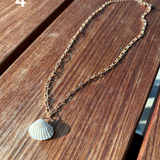 Shell Necklace