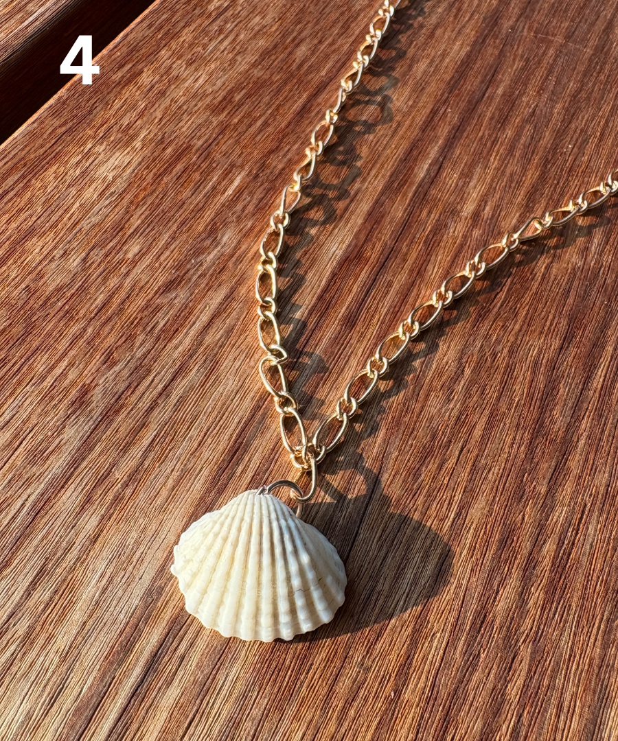 Shell Necklace
