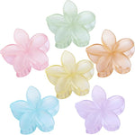 Hair Clips